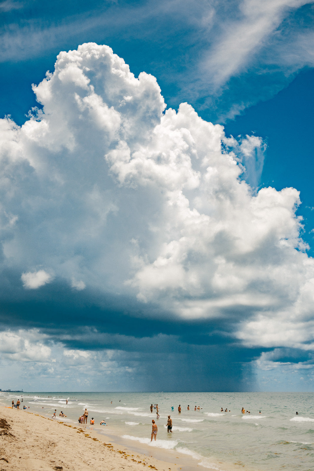 Summer Shower