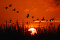 Sundown
