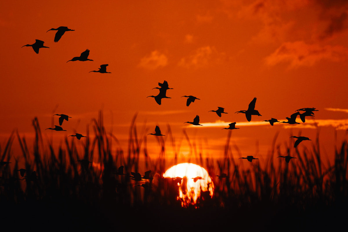 Sundown
