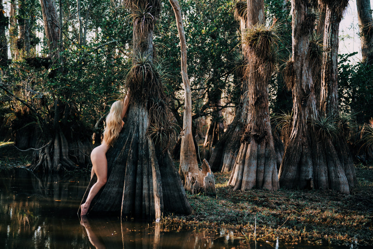 Treehugger